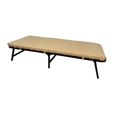 Розкладачка ЕРВІН з матрацом ППУ товщиною 5 см